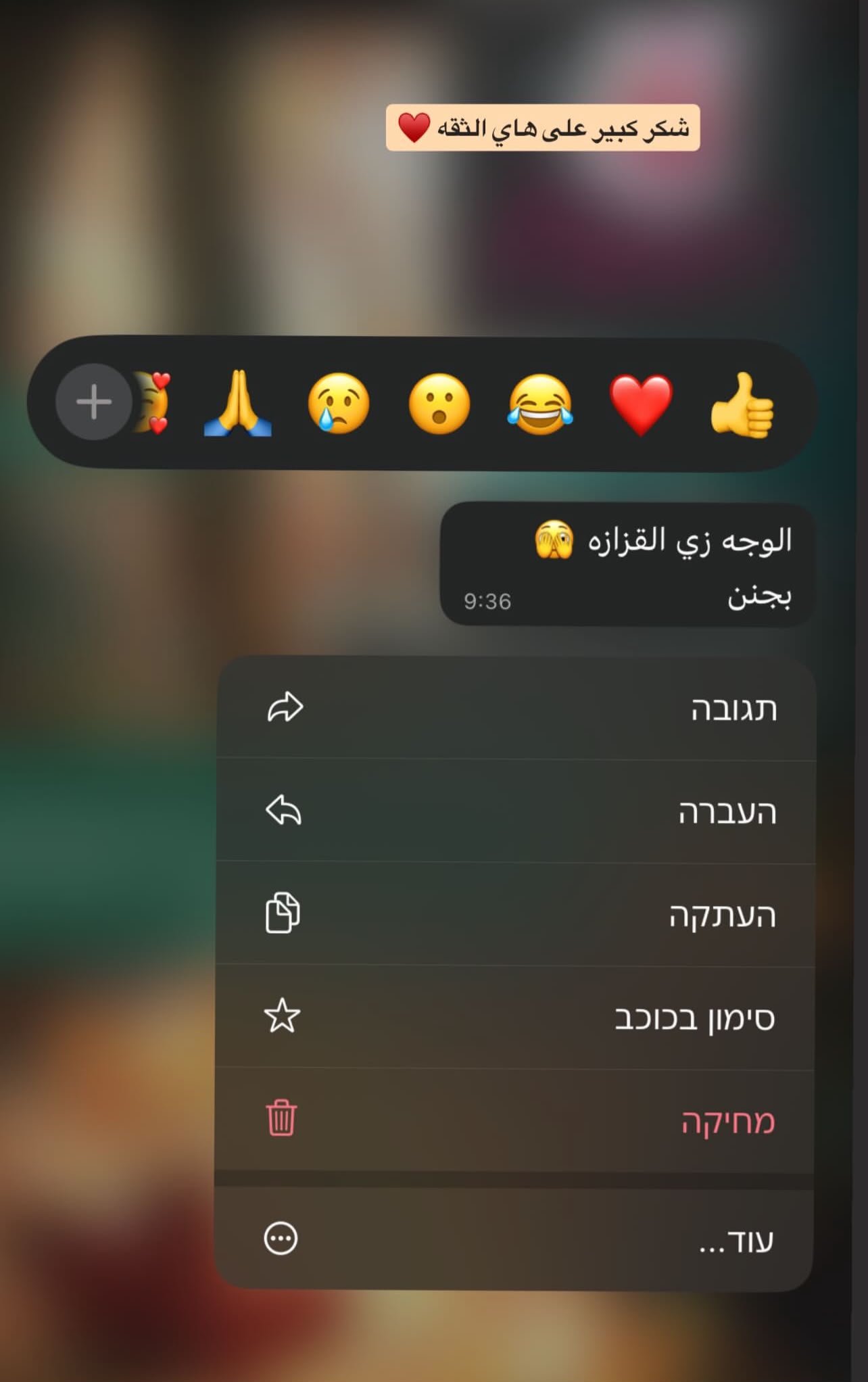 WhatsApp review from client