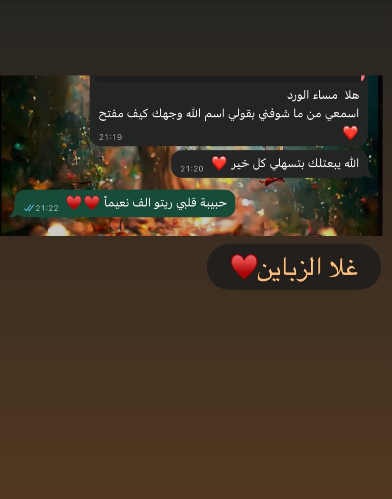 WhatsApp review from client